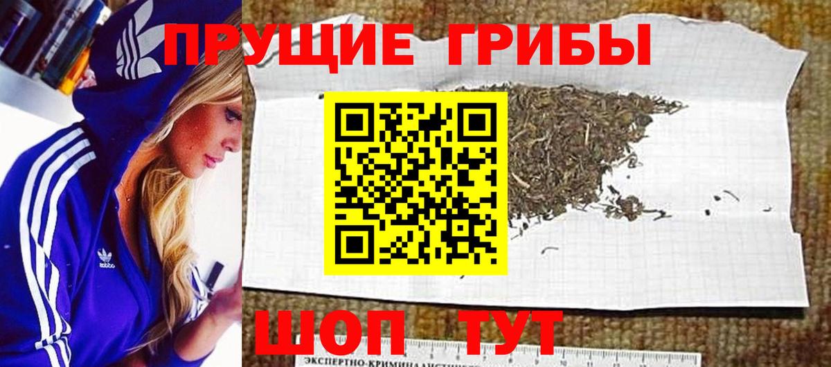 Псилоцибиновые грибы ЛСД  Вход с VPN  Псилоцибиновые грибы Psilocybe  Йошкар-Ола 